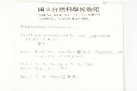 蒼耳藏品圖，第2張