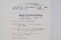 玉山沙參藏品圖，第2張