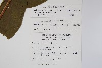 登錄號:S003739藏品圖，第2張