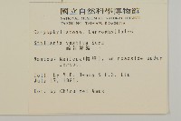 疏花繁縷藏品圖，第2張