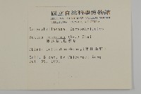 瓜槌草、漆姑草藏品圖，第2張