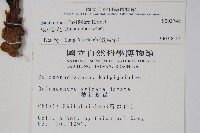 穗花蛇菰藏品圖，第2張