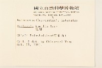 矮菊藏品圖，第2張