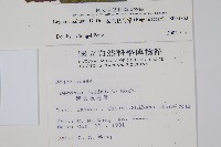 裂葉秋海棠藏品圖，第2張