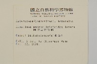 阿里山鬼督郵藏品圖，第2張