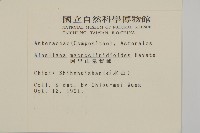 阿里山鬼督郵藏品圖，第2張