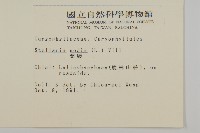 繁縷藏品圖，第2張