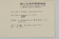 繁縷藏品圖，第2張