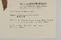 臺灣馬蘭藏品圖，第2張