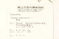 黃菀藏品圖，第2張