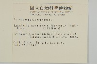 尼泊爾籟簫藏品圖，第2張