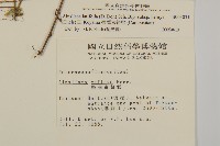 臺灣鬼督郵藏品圖，第2張