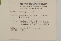 能高蟹甲草藏品圖，第2張