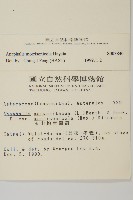 玉山抱莖籟簫藏品圖，第2張