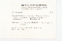 臺灣狗娃花藏品圖，第2張