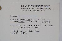 臺灣黃楊藏品圖，第2張