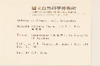 蔓澤蘭藏品圖，第2張