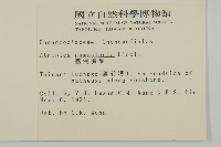 臺灣濱藜藏品圖，第2張