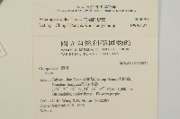 倒地鈴藏品圖，第2張