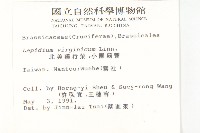 獨行菜藏品圖，第2張