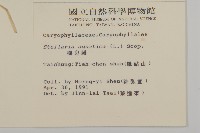 鵝兒腸藏品圖，第2張