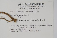 青葙藏品圖，第2張