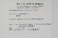 青葙藏品圖，第2張