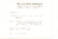 蔓黃菀藏品圖，第2張