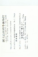 倒吊金鐘、天花藏品圖，第2張