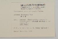 蠅子草藏品圖，第2張