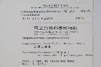 台灣土黨參藏品圖，第2張