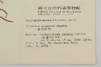 玉山石竹藏品圖，第2張