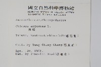 青葙藏品圖，第2張