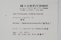 青葙藏品圖，第2張