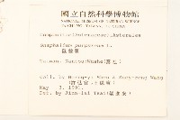 鼠麴舅藏品圖，第2張