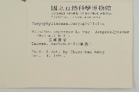 長萼瞿麥藏品圖，第2張