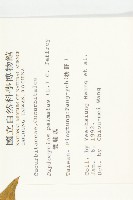 雙輪瓜藏品圖，第2張