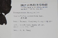 冷飯藤藏品圖，第2張