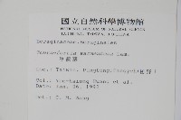 冷飯藤藏品圖，第2張