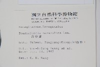 冷飯藤藏品圖，第2張