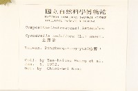 金腰箭藏品圖，第2張