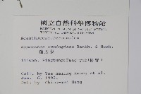 槍刀菜藏品圖，第2張