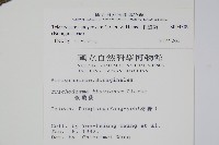 假酸漿藏品圖，第2張