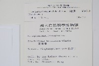 假酸漿藏品圖，第2張