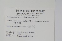 漿果莧、紐藤藏品圖，第2張