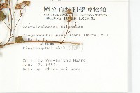 娥房藤藏品圖，第2張