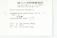 娥房藤藏品圖，第2張