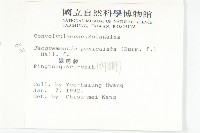 娥房藤藏品圖，第2張