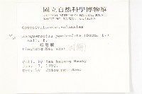 娥房藤藏品圖，第2張