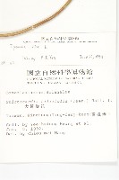 天茄兒藏品圖，第2張